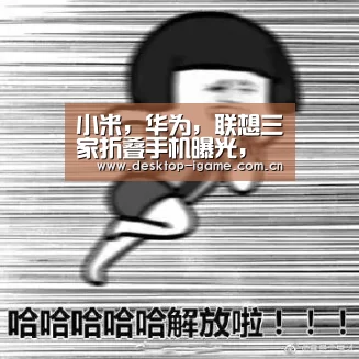 小米,华为,联想三家折叠手机曝光,将由LG提供折叠屏幕|爱游戏平台(图2) 爱游戏官网
