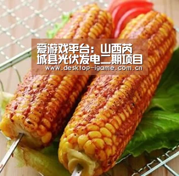 爱游戏平台:山西芮城县光伏发电二期项目开工(图1) ayx下载