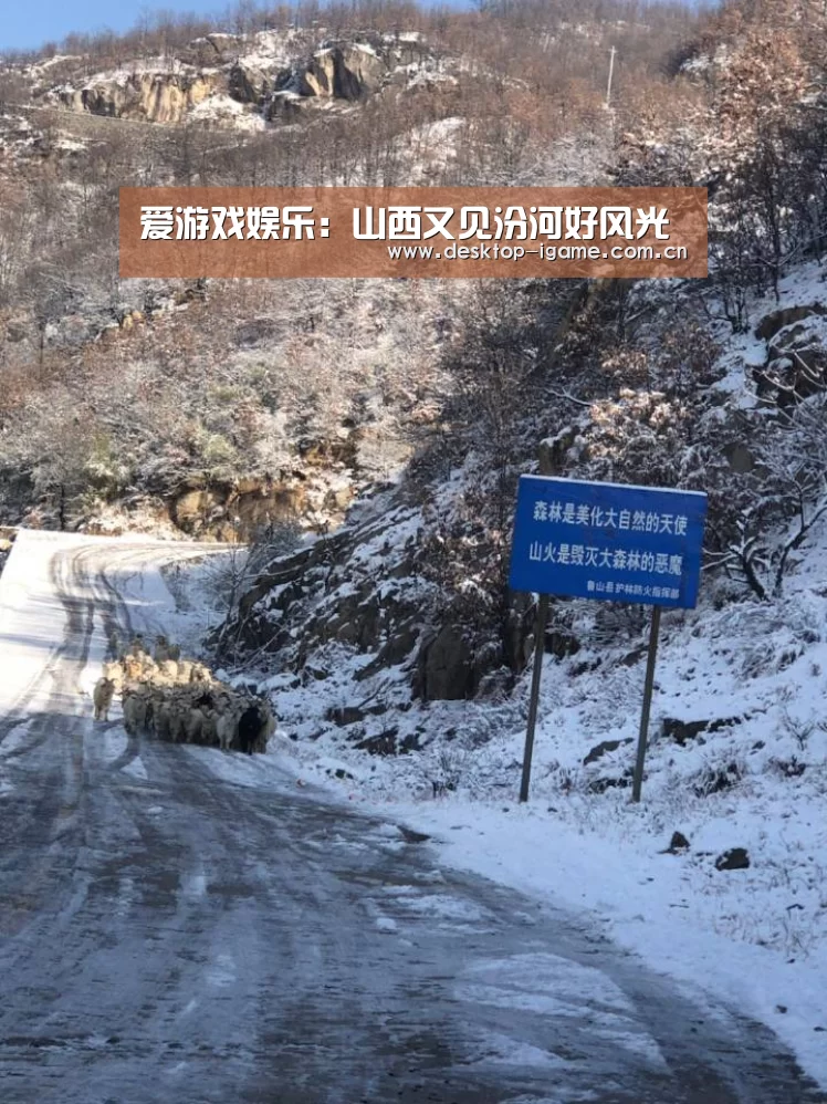 爱游戏官网